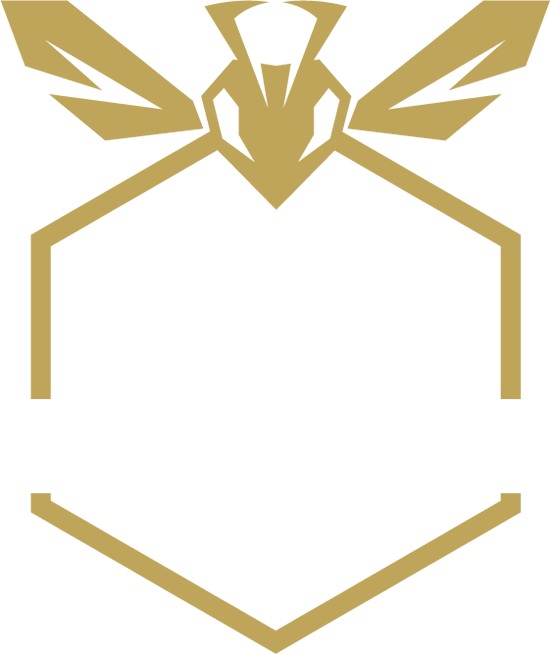 Hive Strength Co logo